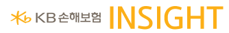KB 손해보험 insight