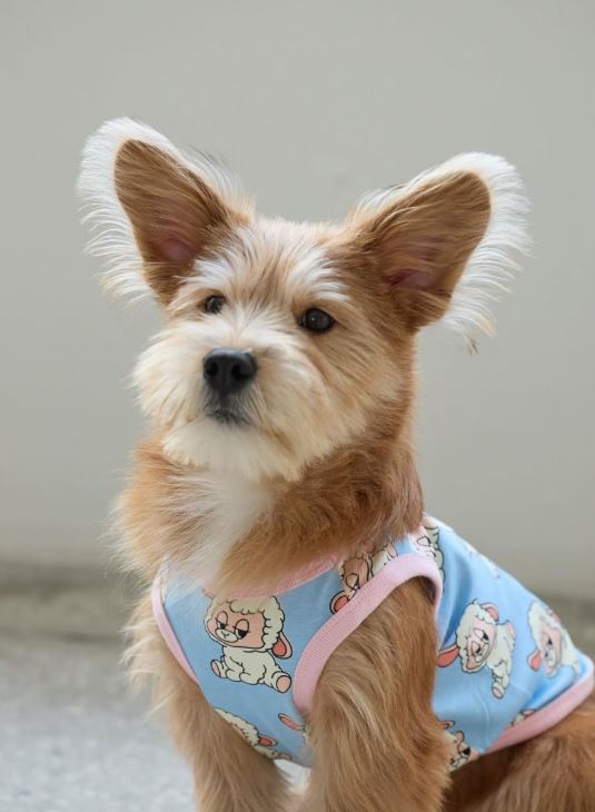 미용 받고 다음날 의류 모델도 했답니다!